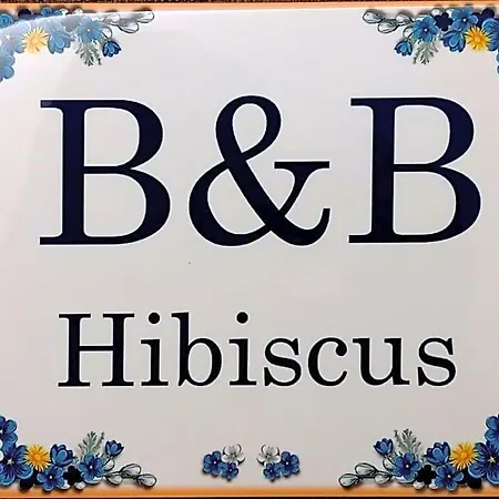 Hibiscus